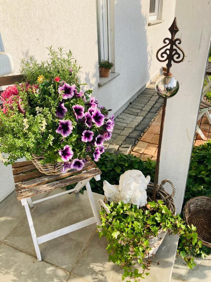 Das Ferienhaus-Zurueck Zum Ursprung Gussing Ngoại thất bức ảnh
